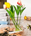 Book Flower Vase 🔥 50% OFF Don't Miss Out! Limited Stock! 🔥