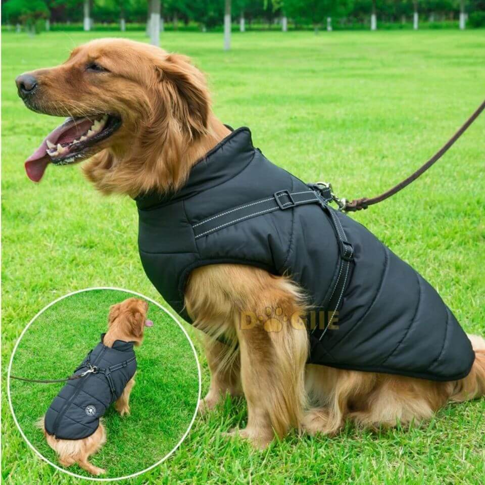 Waterproof Winter Jacket with Built-in Harness for Dogs