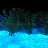 300 Pcs - Glow in the Dark Aquarium Gravel Stones