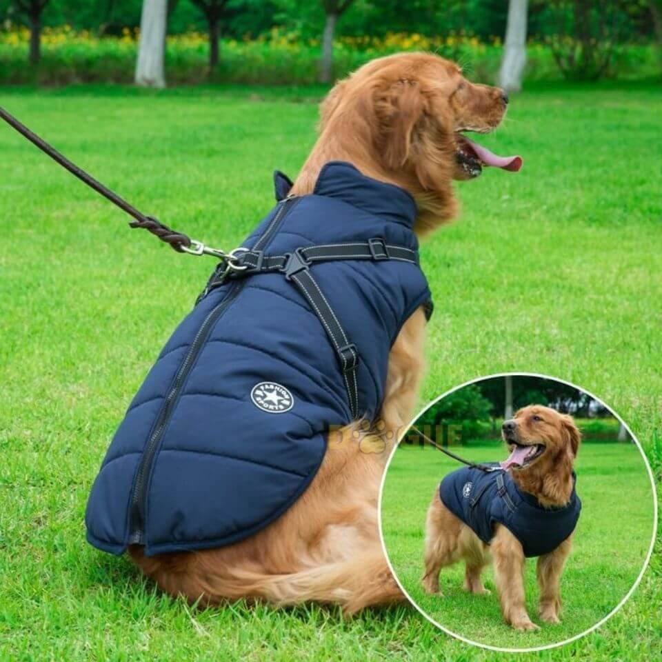 Waterproof Winter Jacket with Built-in Harness for Dogs