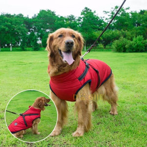 Waterproof Winter Jacket with Built-in Harness for Dogs