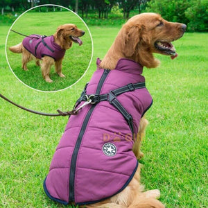 Waterproof Winter Jacket with Built-in Harness for Dogs