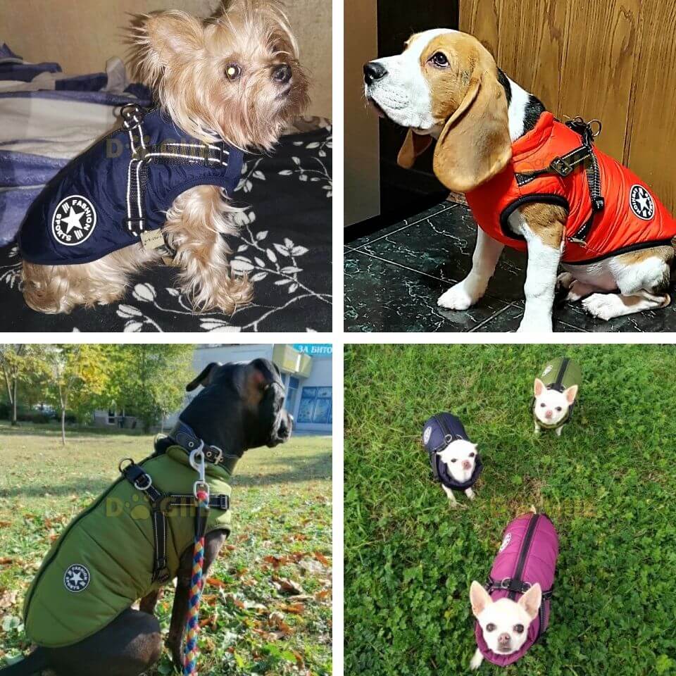 Waterproof Winter Jacket with Built-in Harness for Dogs