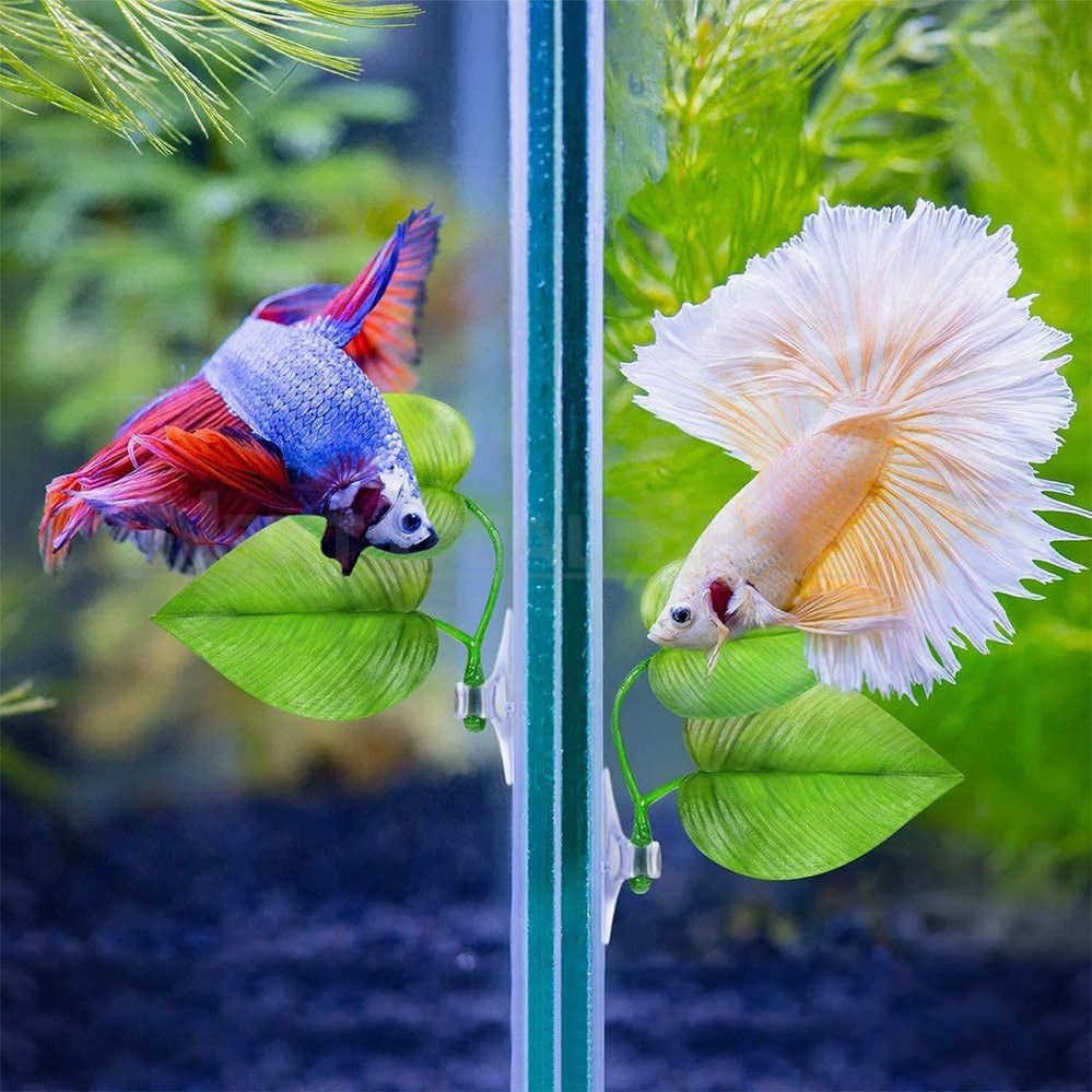 Betta Fish Aquarium Accessories Set