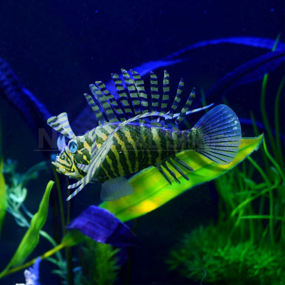 Glow in the Dark Lionfish Aquarium Decoration