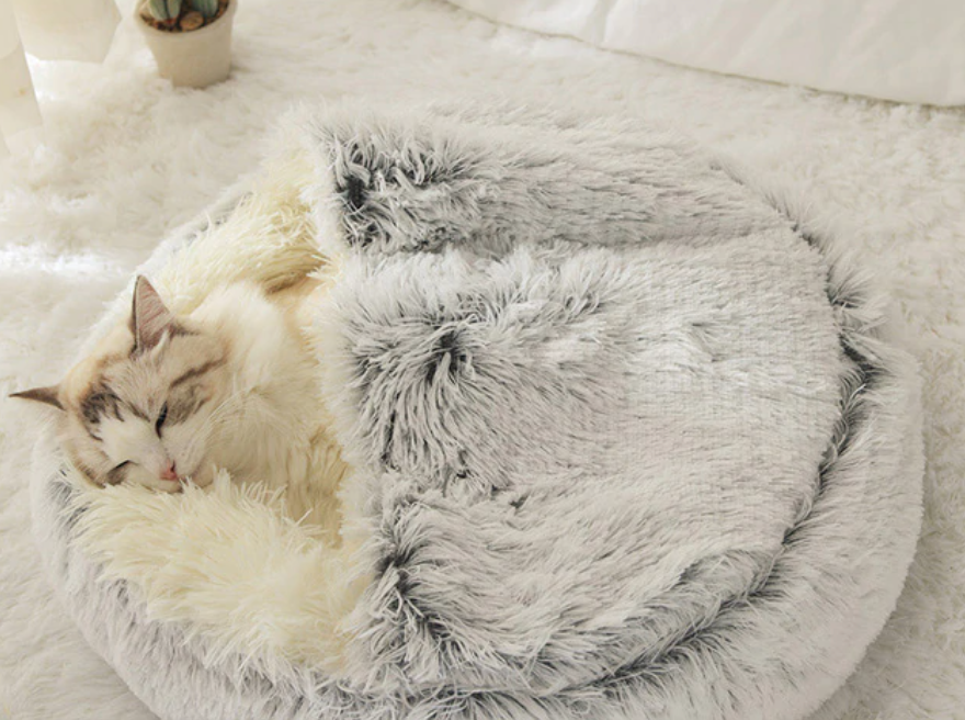 CatSuite Calming Bed