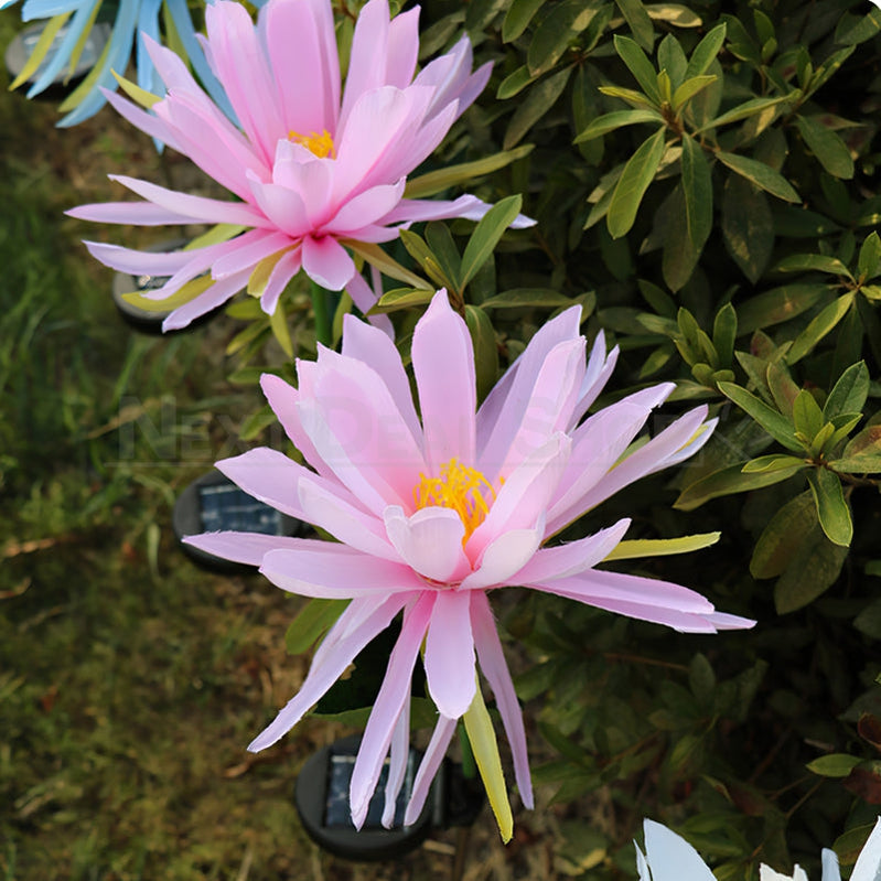 Solar Powered Epiphyllum Flower Stake Light