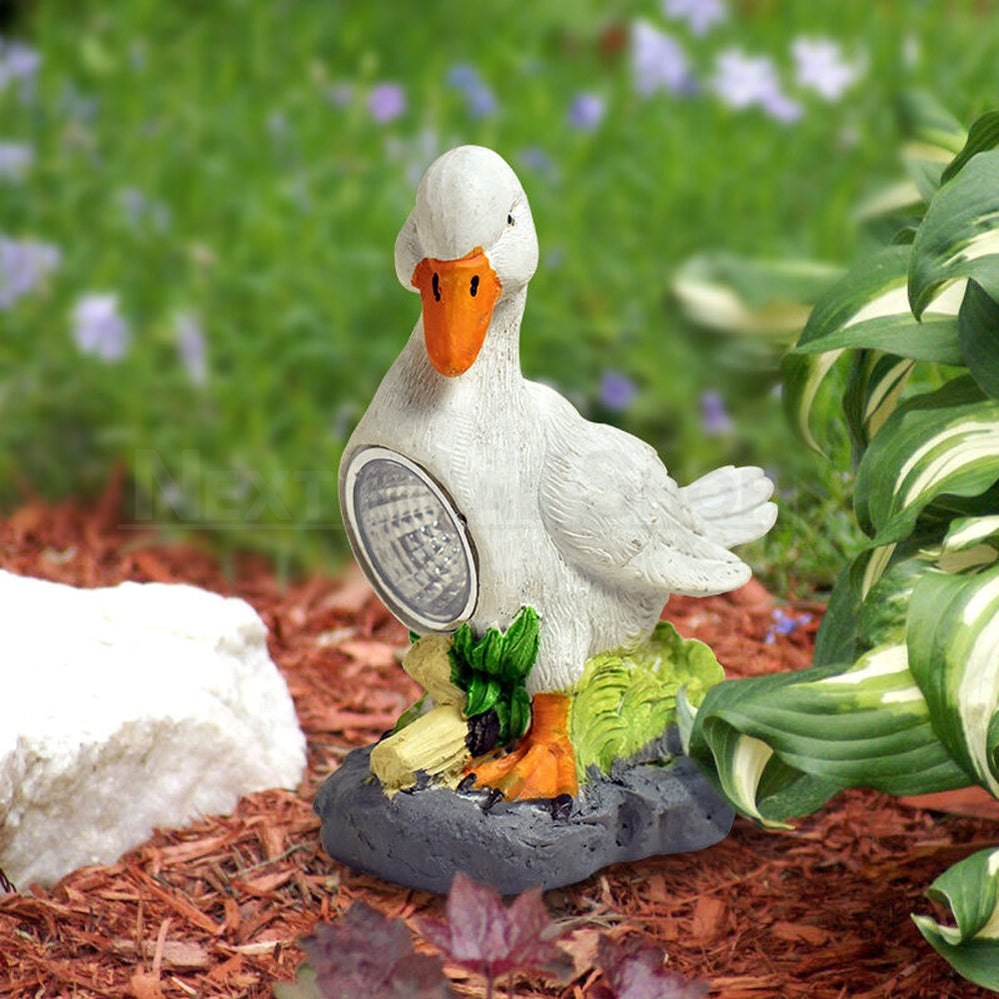 Solar Powered LED Duck Light