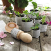 Wooden Seeding Planter Pot Maker