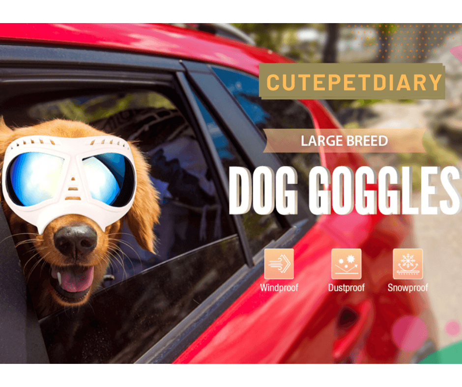 Cutepetdiary™- Dog Goggles Large & Small Breed