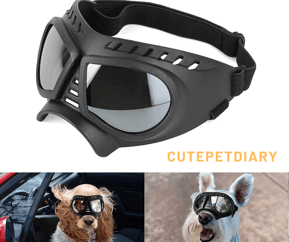 Cutepetdiary™- Dog Goggles Large & Small Breed