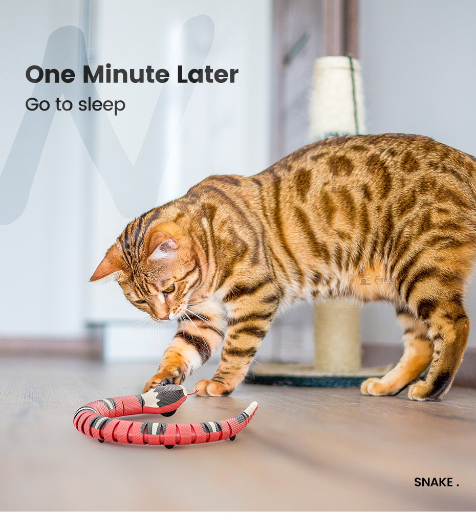 Interactive Snake Cat Toys USB Charging - 50% OFF Limited Offers